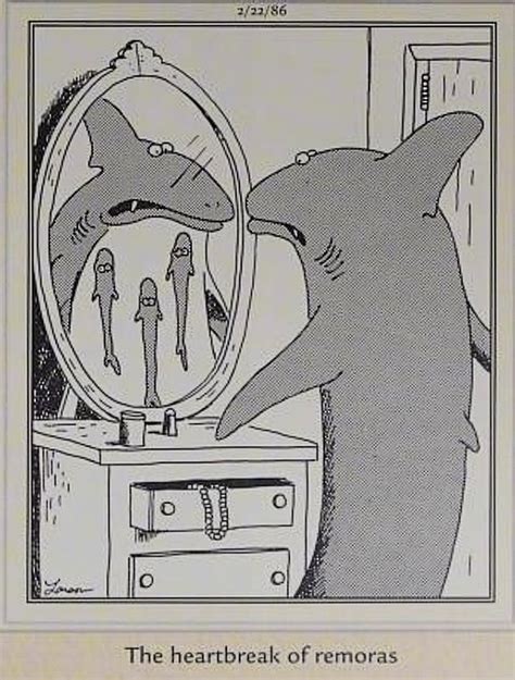 15 Funniest Far Side Comics About Sharks