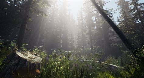 Forest Level in UE4 Tutorial Part 2 的图像结果