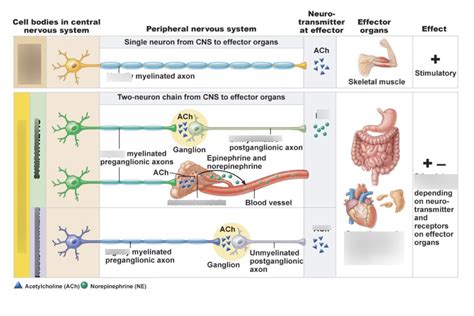 Image result for Topic 15