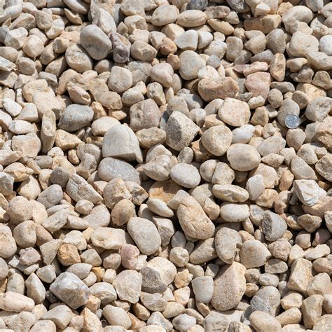 Carolina White Onlyfans