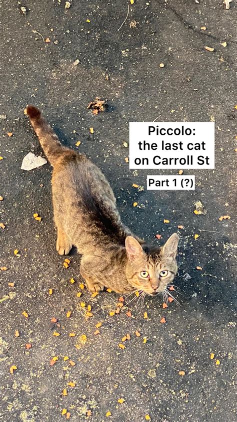 Lizzie Dedmon Foster