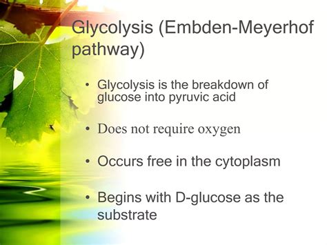 Glycolysis and gluconeogenesis | PPTX
