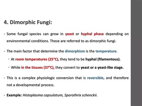 Overview of Fungal Infections | PDF