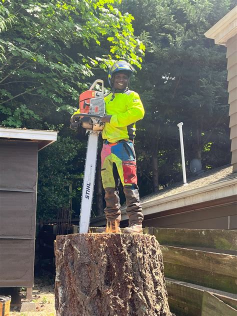 Tree Care | Whidbey & Fidalgo Island Arborists