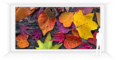 LED Wall Graphics Video Download 的图像结果