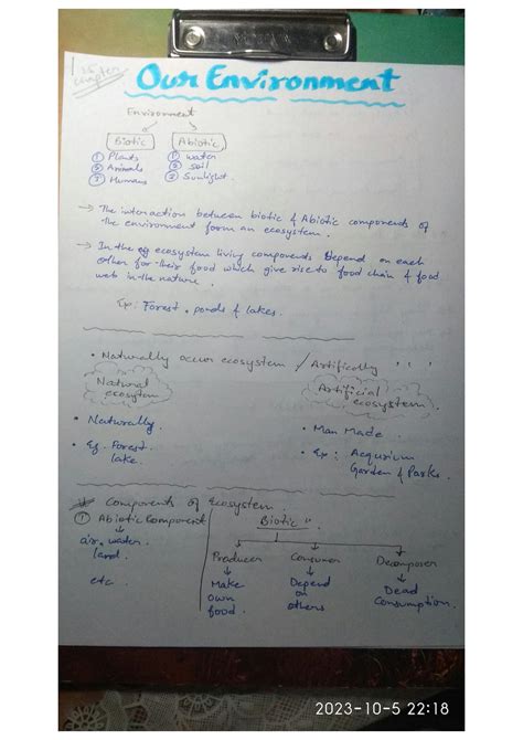 Image result for Class 10 Environment Projects