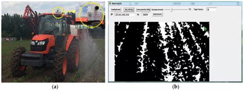 A Real-Time Weed Mapping and Precision Herbicide Spraying System for ...
