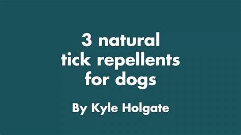 3 Natural Tick Repellents for Dogs | Animal Wellness Magazine
