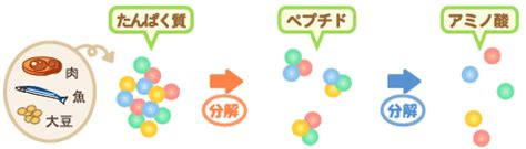 Image result for Nearest Neighbours Algorithm Graph Examples
