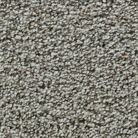 Coronet Enchantress Mushroom Textured Interior Carpet at Lowes.com