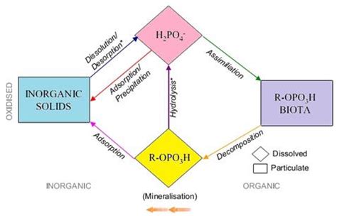 FOAMING OR ALGAL BLOOM IN WATER BODIES OF INDIA: REMEDIAL MEASURES ...