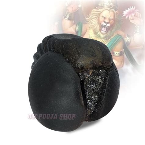 Narasimha Rupam Shaligram Stone