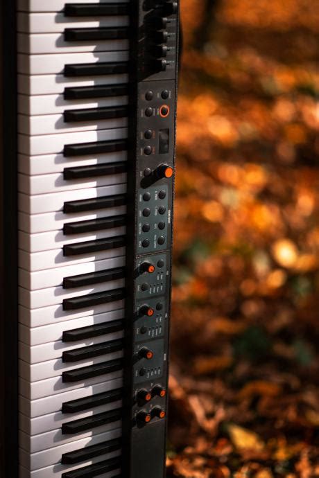 Image result for Studiologic Numa Compact 2X Power Adapter