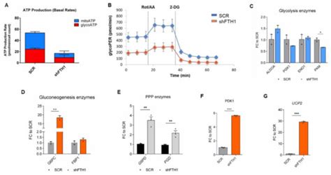Uncovering the Metabolic and Stress Responses of Human Embryonic Stem ...
