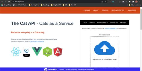 JS API Do Random Cat Image Search 的图像结果