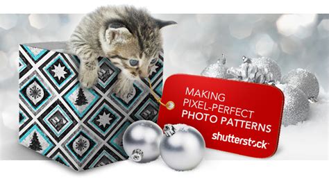 Shutterstock Tutorial 的图像结果