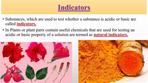 Image result for Using the Tree Machine Learning Method for Images