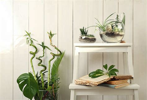 Here’s Why You Need To Try These Budget-Friendly DIY Hacks To Revamp ...