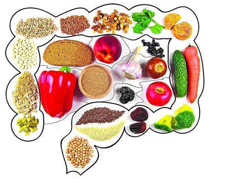 Digestion Process 的图像结果