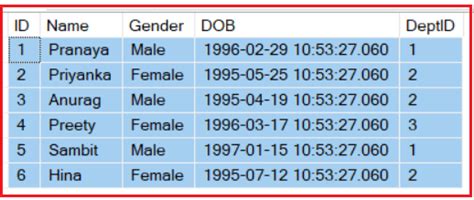 Procedures Stockees SQL Server VB.NET 的图像结果