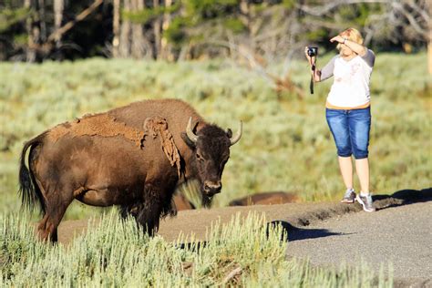 This Is The Closest City To Yellowstone National Park