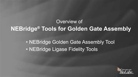 Golden Gate Assembly | NEB