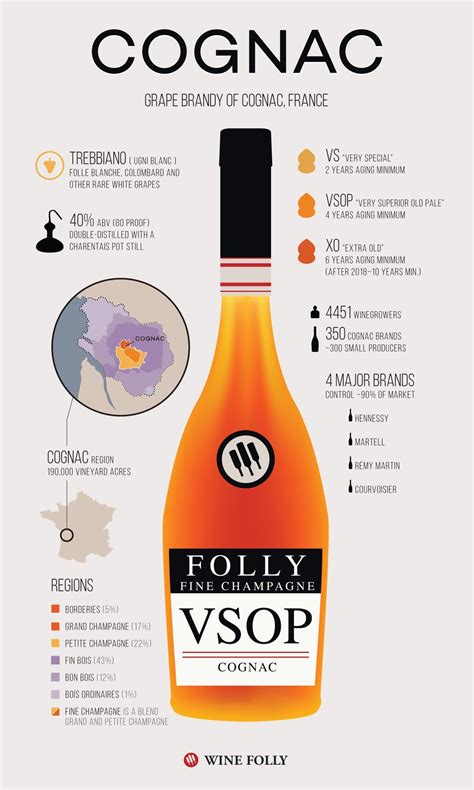The Quick Guide to Great Cognac | Wine Folly | Grape brandy, Wine folly ...