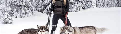 Download wallpaper dogs, girl, snow, pose, blonde, husky, breed ...