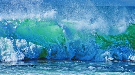 Image result for Mac vs Windows Bar Chart