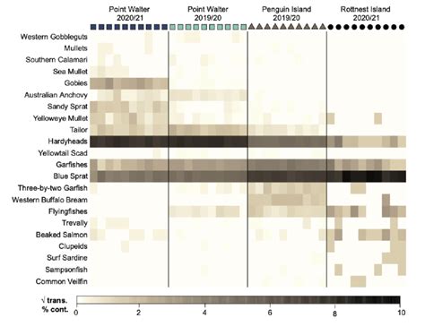 Square Root Plot 的图像结果
