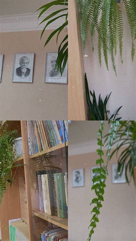 Image result for Class 4th Asthetic Pics