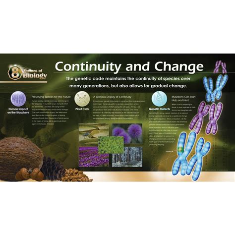 Biology Poster-Making 的图像结果