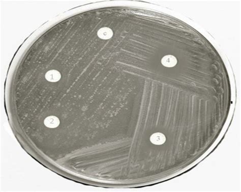 Disc Diffusion Method Kit 的图像结果