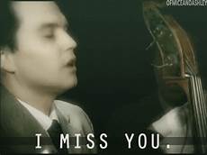 i miss you gif find on giphy miss you gif find on giphy i miss you gif find on giphy miss you gif find on giphy