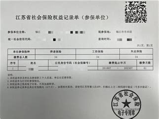 社保权益记录查询打印三种途径（个人篇）_北京市