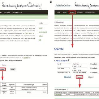 Image result for Query Search Interface