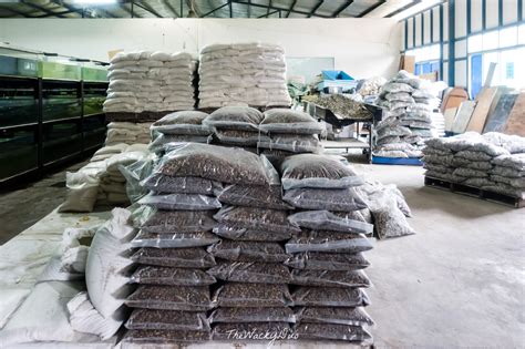 Java Tropical Fish Farm 的图像结果