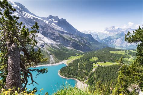 HD Image 的图像结果