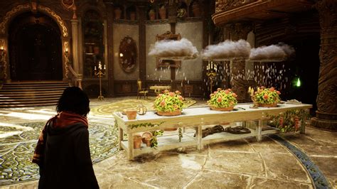 How to Get More Mallowsweet Seeds & Leaves In Hogwarts Legacy - where to find mallowsweet