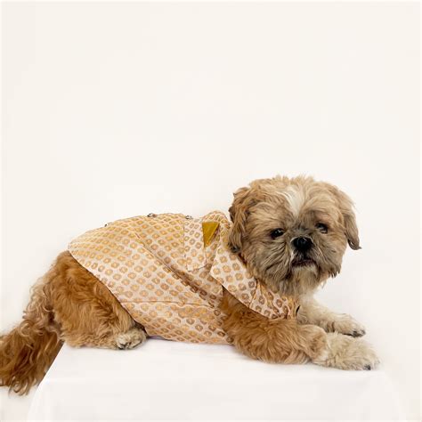 indian wear for dogs, dog sherwani, dog kurta, cat kurta, wedding ...