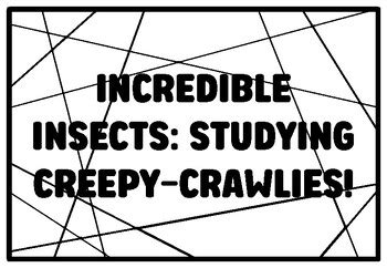 INCREDIBLE INSECTS: STUDYING CREEPY-CRAWLIES! Kindergarten Science ...