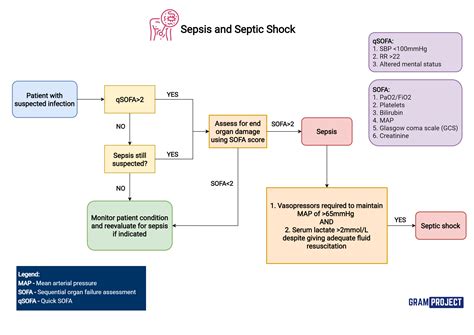 Lab Values In Septic Shock at Douglas Wilder blog