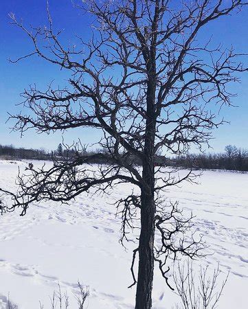 Fort Whyte Alive (Winnipeg) - 2020 What to Know Before You Go (with ...