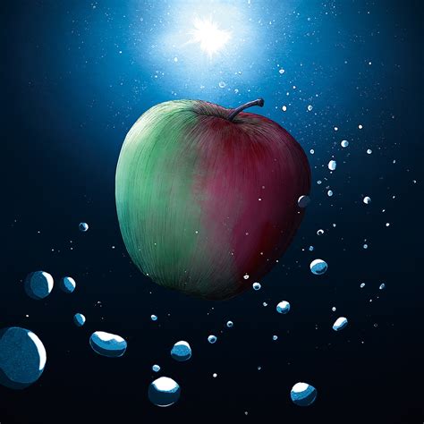 Image result for melon