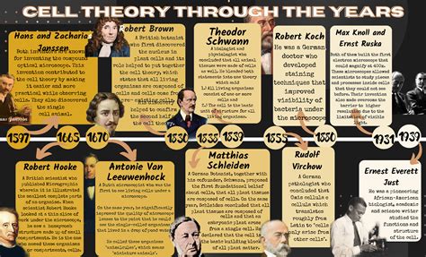 Cell Theory Timeline Worksheet The Wacky History Of Cell Theory