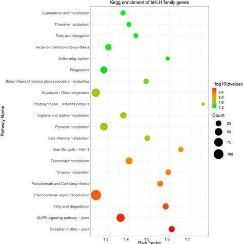 Identification and Expression Analysis of the bHLH Gene Family in ...
