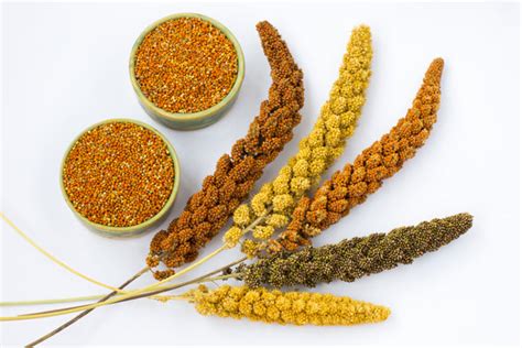 millets for diabetes : The Gluten-free and Vegan Wonder food - Millet Amma