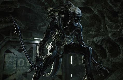 Image result for Alien Xenomorph Life Cycle