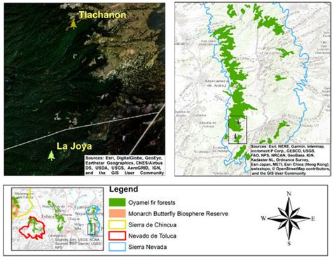 Characterizing New Wintering Sites for Monarch Butterfly Colonies in ...