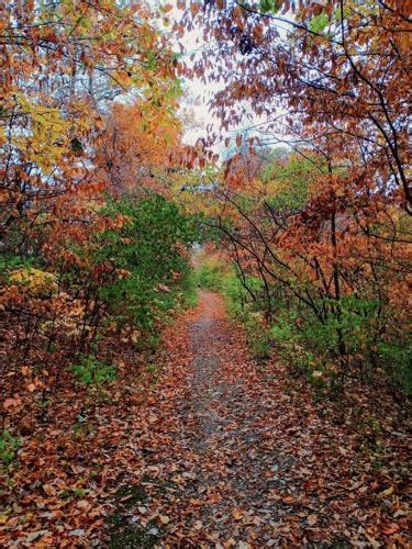 Luther Lynn Smith Obituary (2025) - Montezuma, KS - Swaim Funeral ...